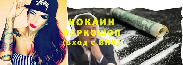 ПСИЛОЦИБИНОВЫЕ ГРИБЫ Богданович