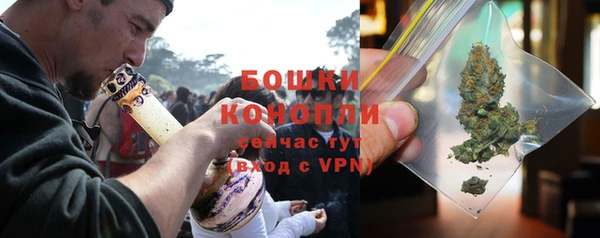 прущие крисы Бородино
