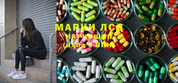 прущие крисы Бородино