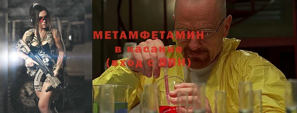 ПСИЛОЦИБИНОВЫЕ ГРИБЫ Богданович