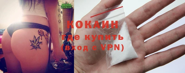 ешки Бронницы