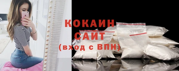 ПСИЛОЦИБИНОВЫЕ ГРИБЫ Богданович