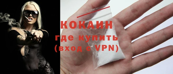 ПСИЛОЦИБИНОВЫЕ ГРИБЫ Богданович