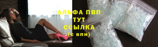 прущие крисы Бородино