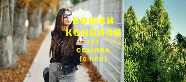 прущие крисы Бородино