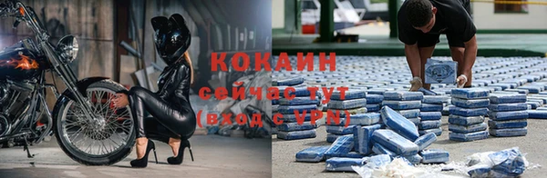 ешки Бронницы