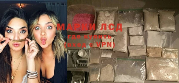 ПСИЛОЦИБИНОВЫЕ ГРИБЫ Богданович